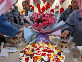 博鱼买球首选_博鱼买球(中国)举办三八妇女节活动